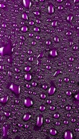 descargar wallpaper